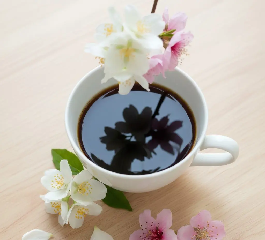 خرید_قهوه.webp