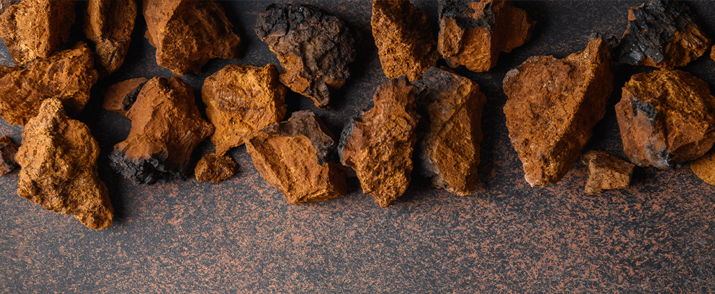 chaga-dosage.webp